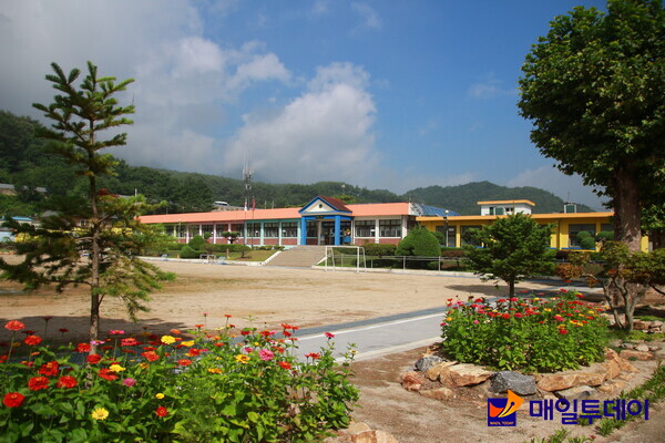 단양 대가초등학교 전경.
