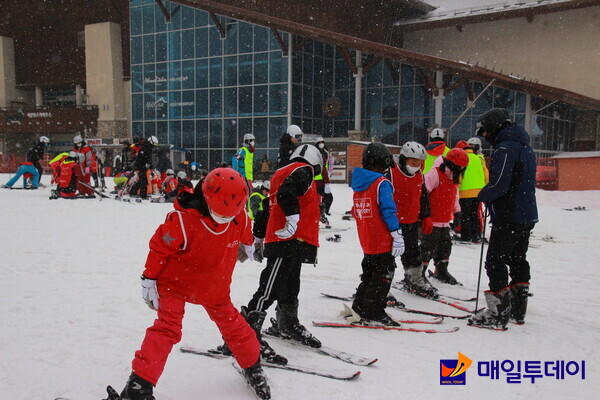단양 대가초 어린이들이 스키 교육을 받고 있다.
